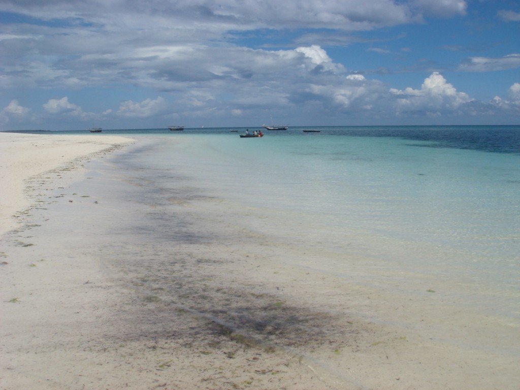DSC06217