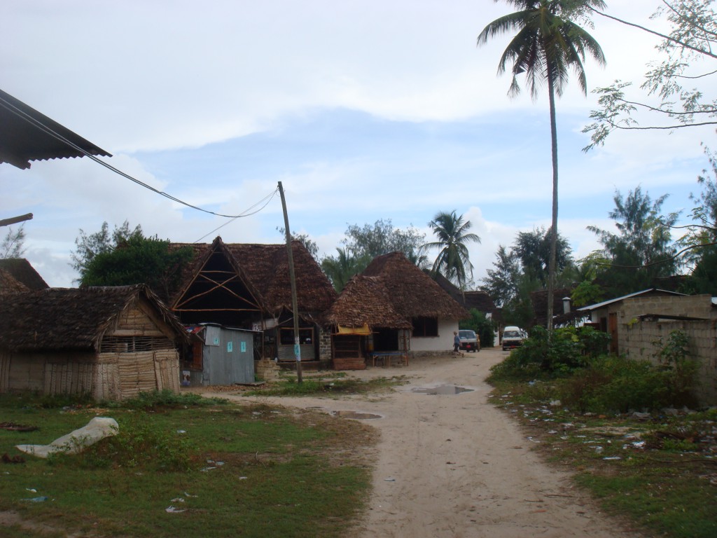 DSC06273