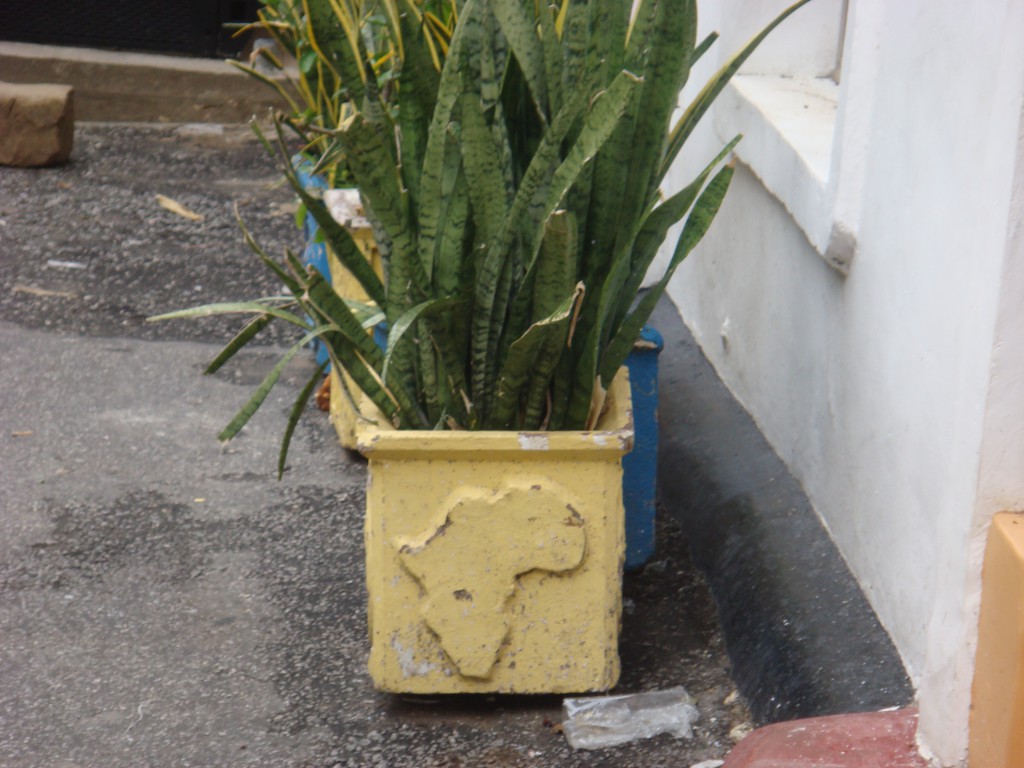 DSC06287