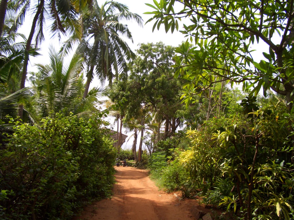 Drum spre plaja in Auroville