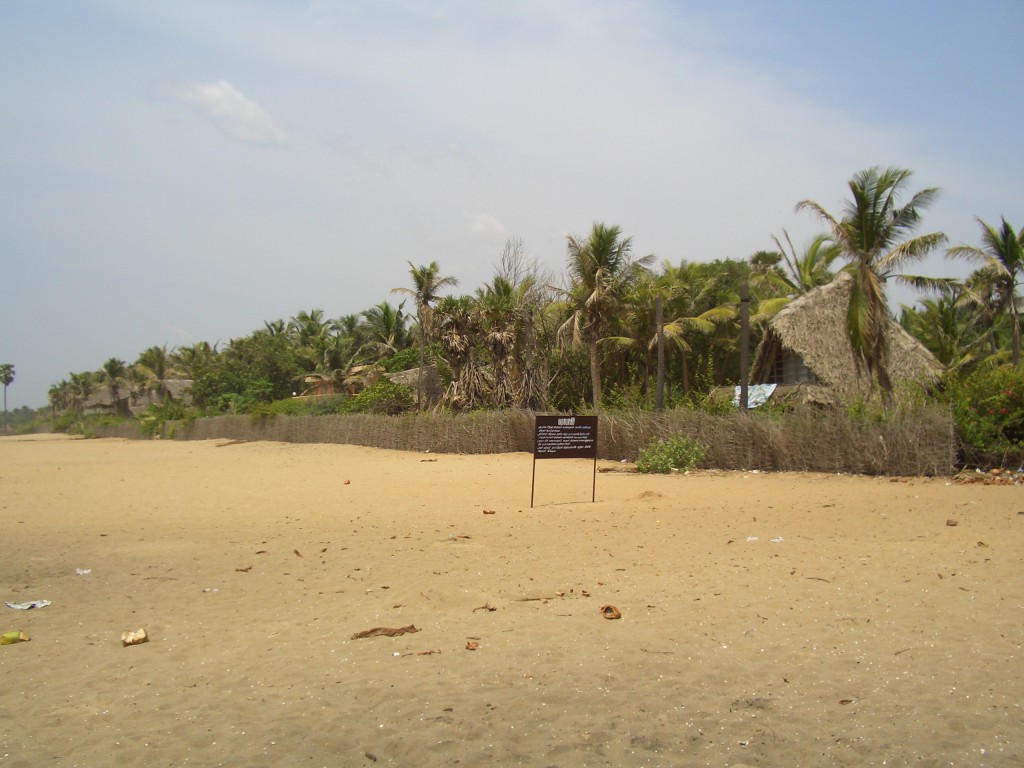 Plaja Auroville 2