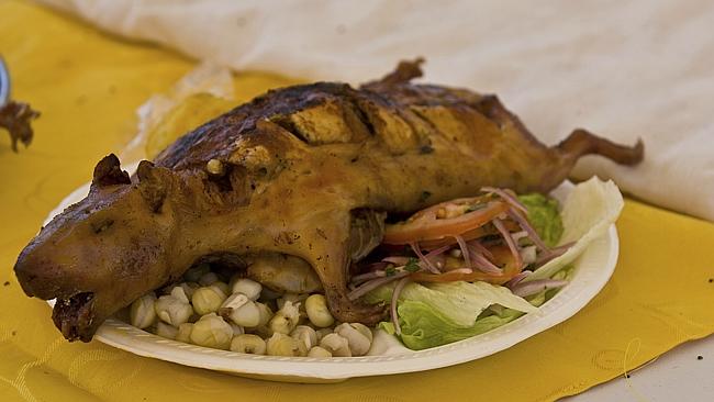 Roasted Cuy-Guinea Pig-